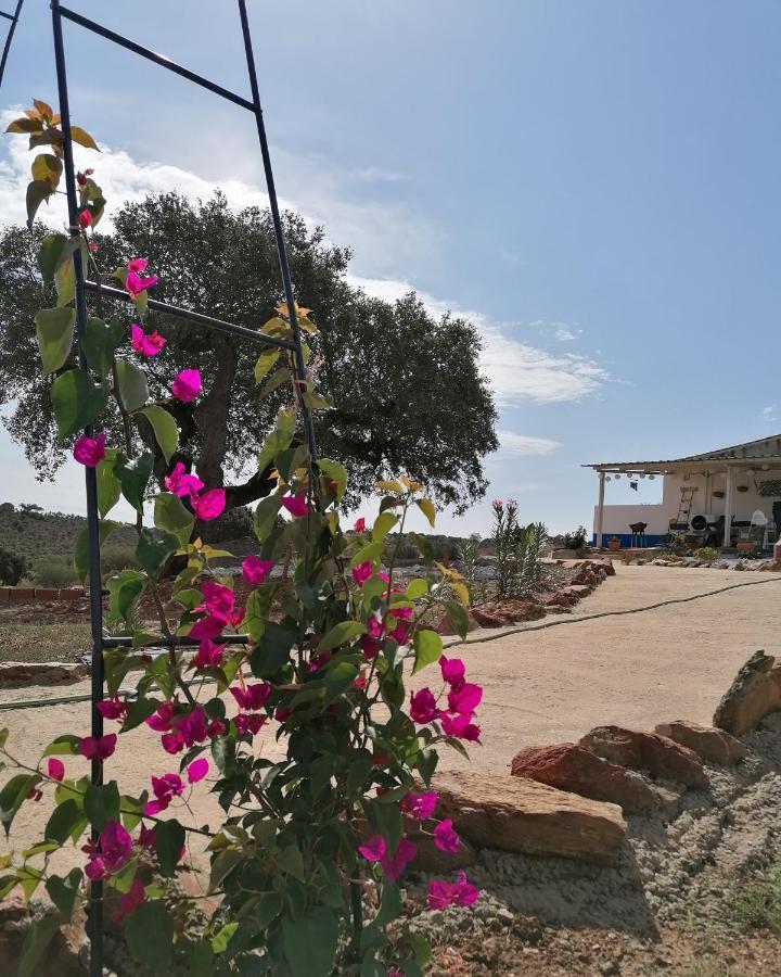 Monte Beatriz Farm stay *