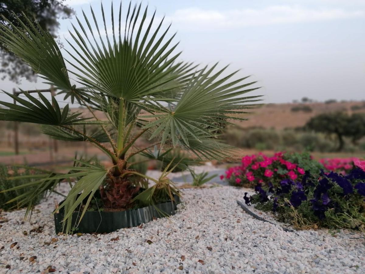 Farm stay Monte Beatriz Reguengos de Monsaraz