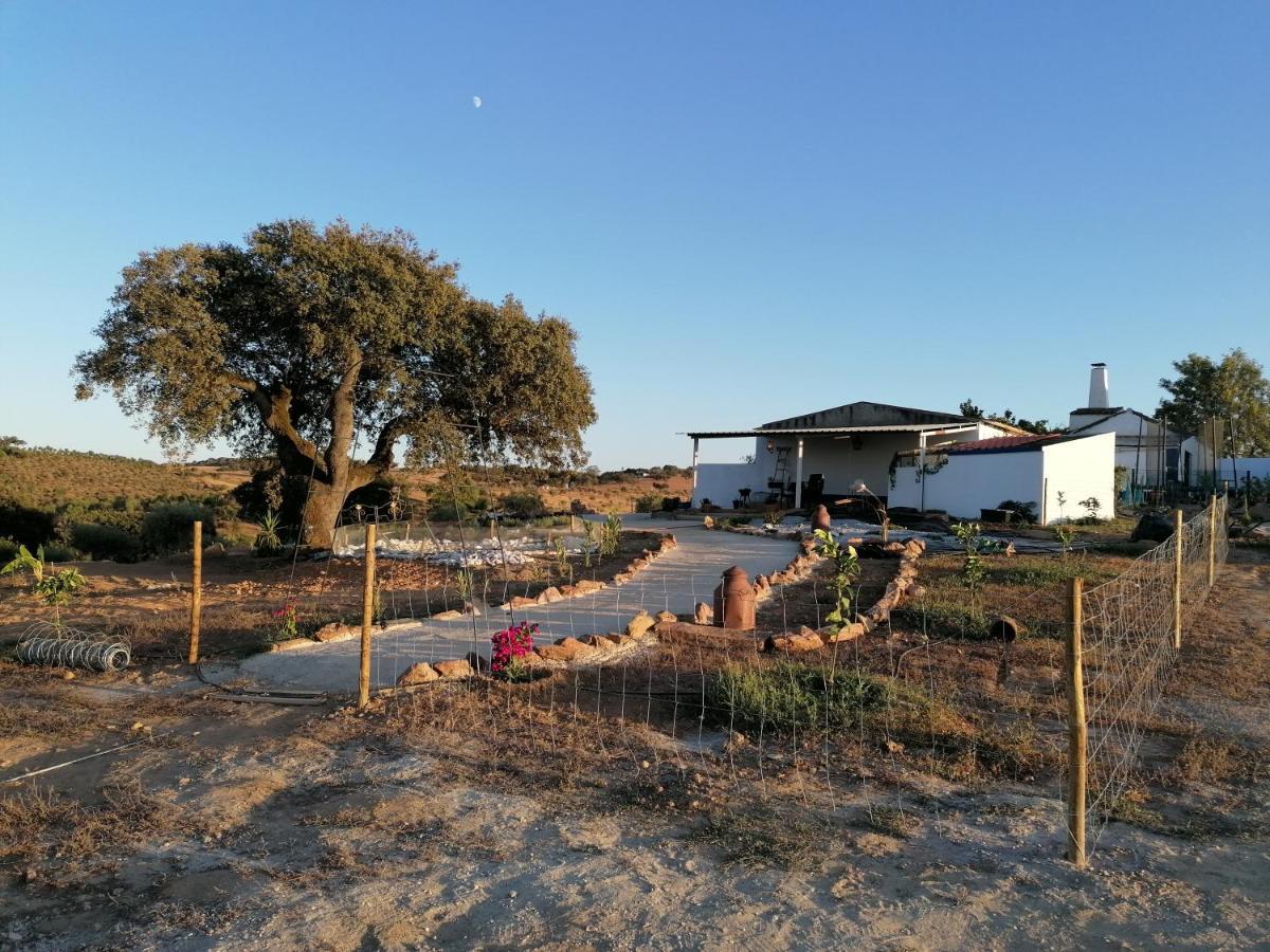 Farm stay Monte Beatriz Reguengos de Monsaraz