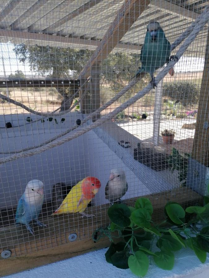 Farm stay Monte Beatriz *